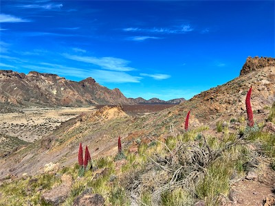 IMG_5068.jpg