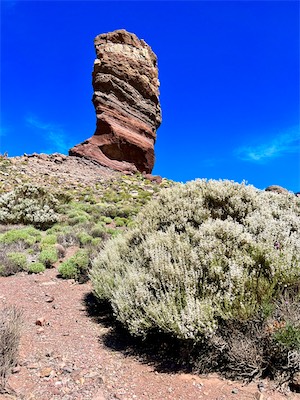 IMG_5084.jpg