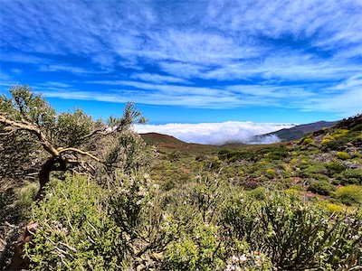 IMG_5091.jpg