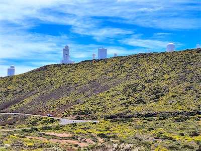 IMG_5095.jpg