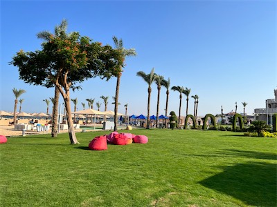IMG_8900.jpg