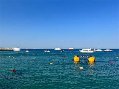 IMG_8906.jpg