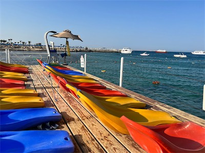 IMG_8908.jpg