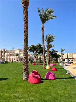 IMG_8989.jpg