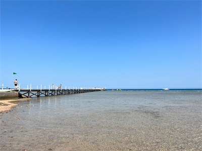 IMG_8992.jpg