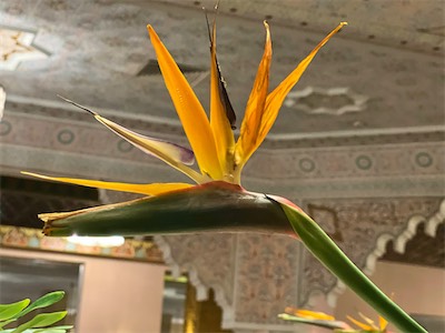IMG_9055.jpg
