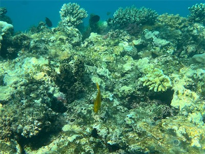 IMG_9187.jpg