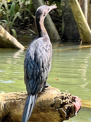 FullSizeRender(184).jpg