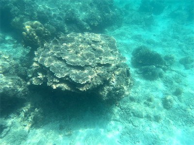 IMG_7837.jpg