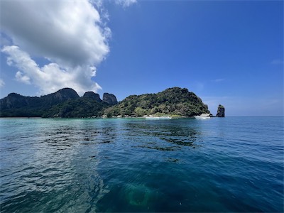 IMG_7861.jpg