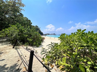 IMG_7406.jpg