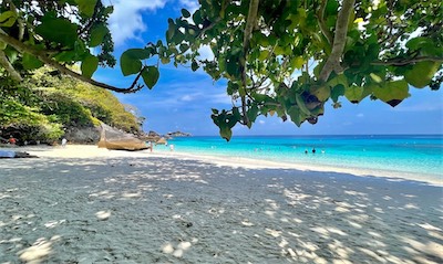 IMG_7487.jpg