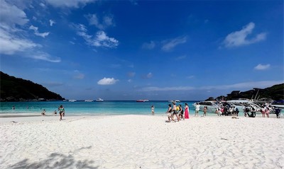 IMG_7488.jpg
