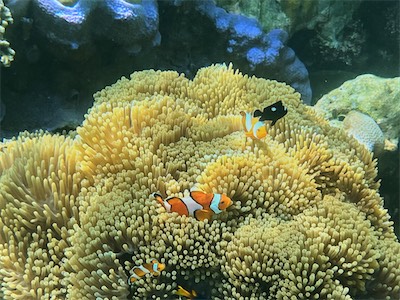 IMG_7794.jpg