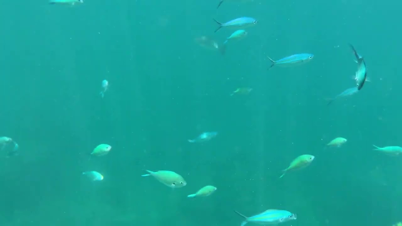 PhiPhi Unterwasser