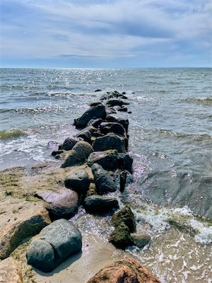 IMG_0531.jpg