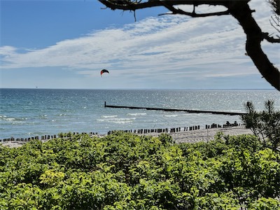IMG_0751.jpg