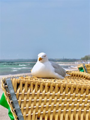 IMG_0625.jpg