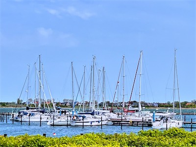 IMG_0784.jpg