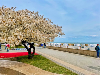 IMG_0460.jpg
