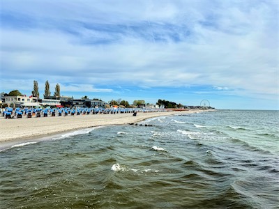 IMG_0501.jpg