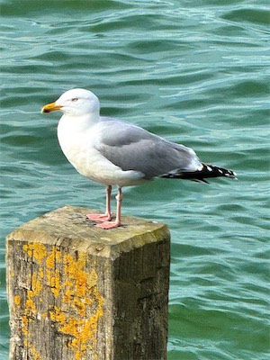 IMG_0504.jpg