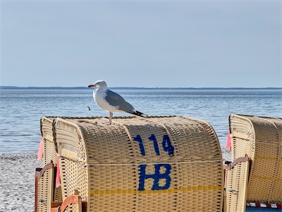 IMG_0559.jpg