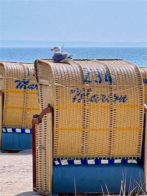 IMG_0724.jpg
