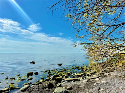 IMG_0566.jpg