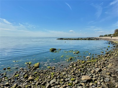 IMG_0575.jpg