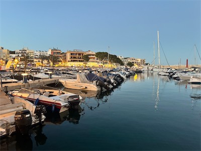 IMG_1184.jpg