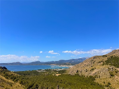 IMG_1403 2.jpg