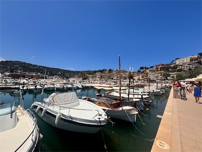 IMG_1420.jpg