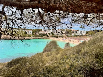 IMG_1289.jpg