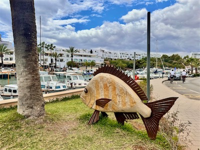 IMG_1295.jpg