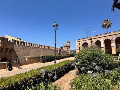 IMG_1534.jpg