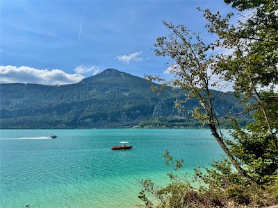 IMG_1987.jpg