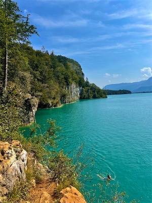 IMG_1988.jpg