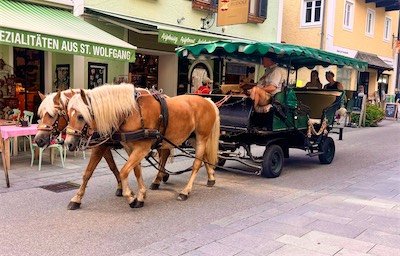 IMG_2123.jpg