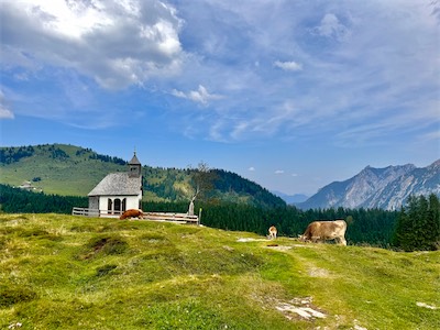 IMG_2185.jpg