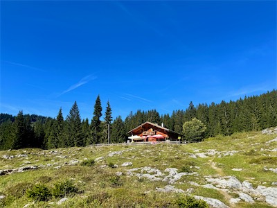 IMG_2235.jpg