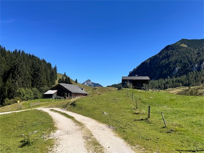 IMG_2236.jpg