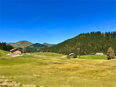 IMG_2239.jpg