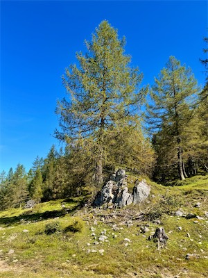 IMG_2242.jpg