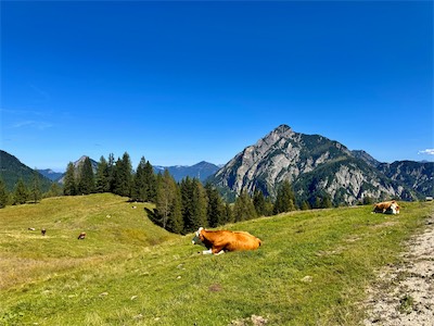 IMG_2249.jpg