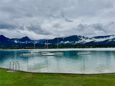 IMG_2288.jpg