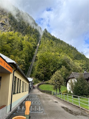 IMG_2342.jpg