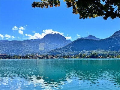 IMG_2396.jpg