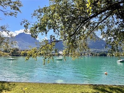 IMG_2397.jpg