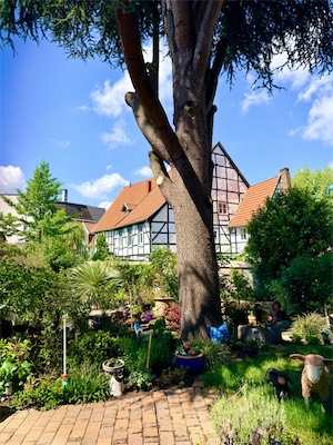 IMG_6248.jpg